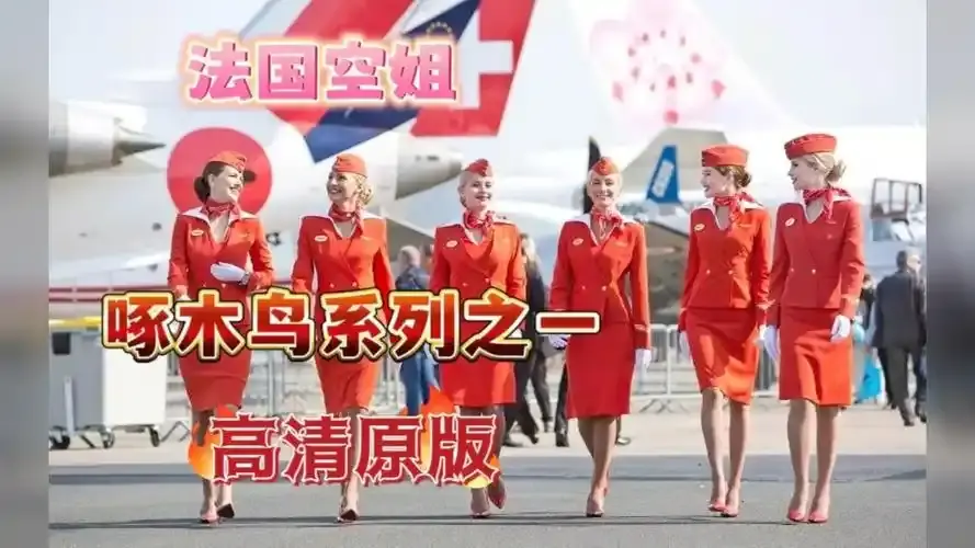 《法国空姐4》资源下载-法国完整版超高清在线观看-法国空姐4免费观看