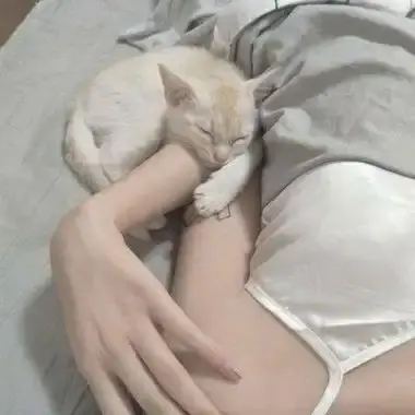 森泽佳奈1080P高清全集免费在线观看-中文版无广告网盘资源下载-蓝光画质完整版珍藏